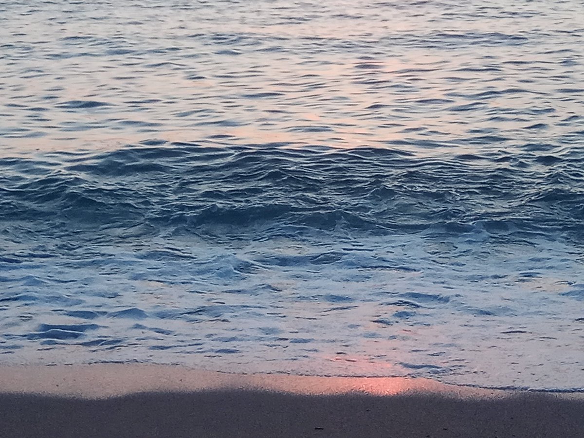 MathouAndre's tweet image. Mon plaisir de chaque soir ❤