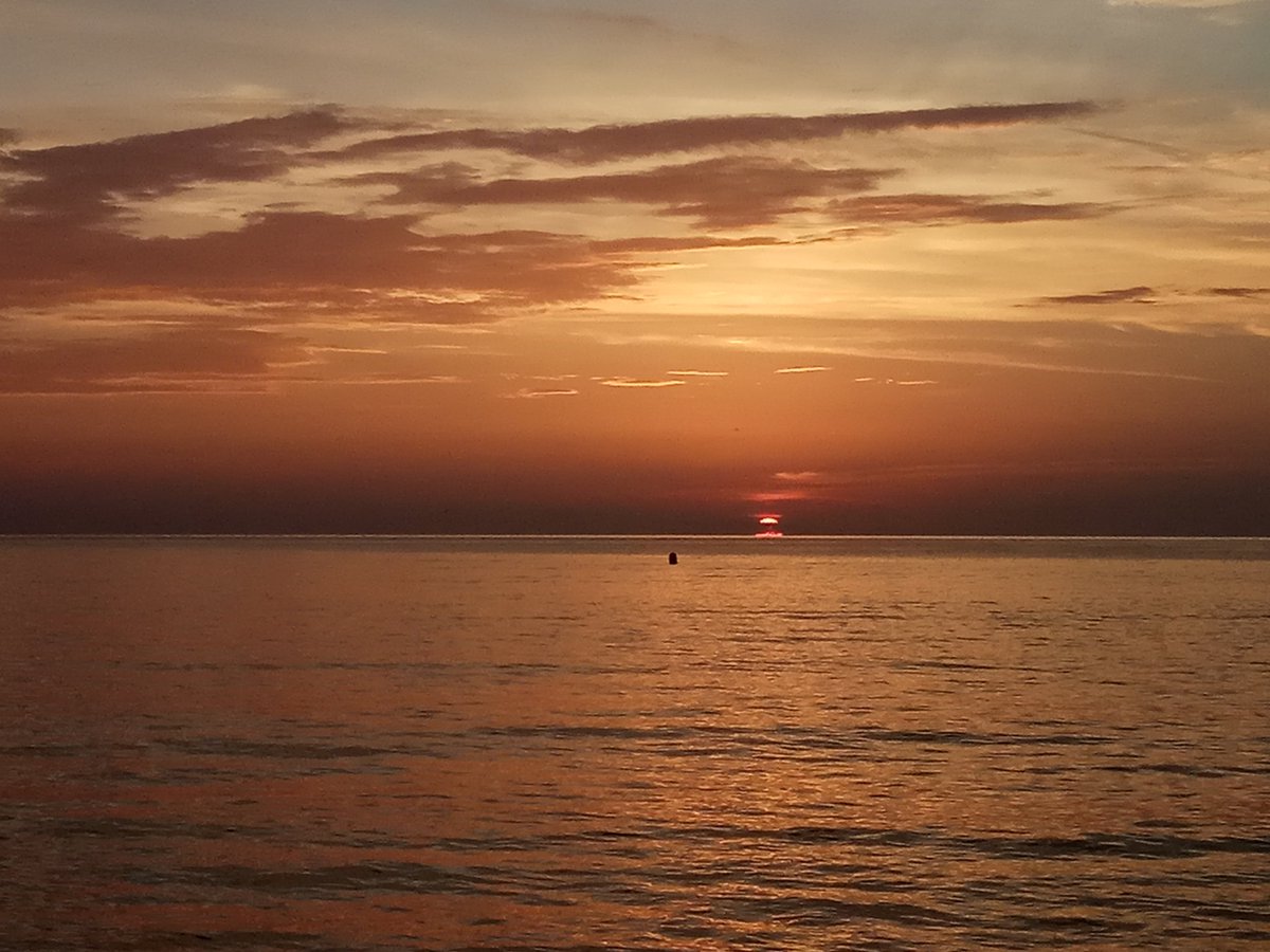 MathouAndre's tweet image. Mon plaisir de chaque soir ❤