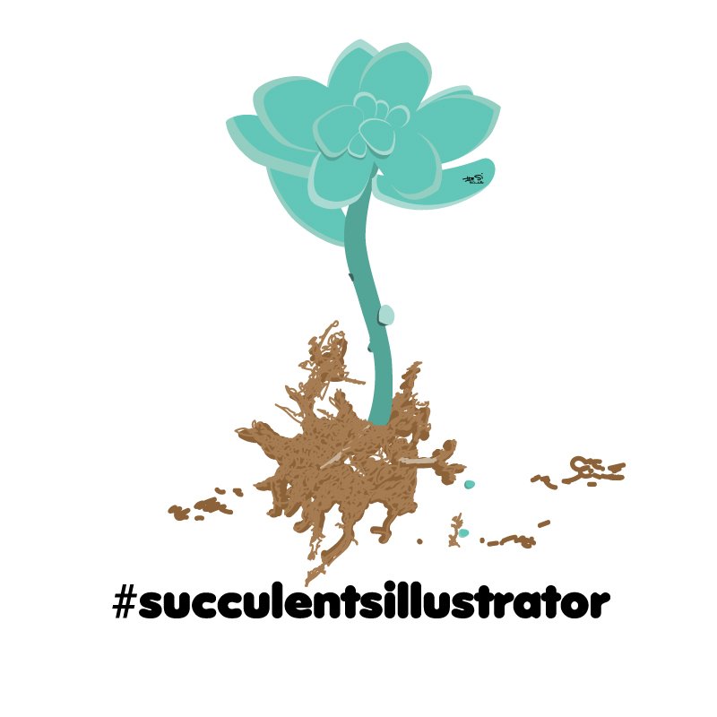 Repotting 🌱❤️ #succulents #jadeplant #succulove #succulentsillustrator #succulentobsession #succulentaddict #succulentgarden #RT