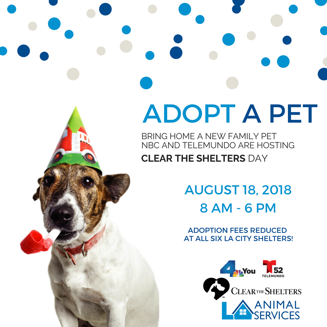 LACityPets's tweet photo. It's time to Clear the Shelters! We're partnering with @NBCLA &amp; @TELEMUNDO52 to #CleartheShelters on Saturday, 8/18 from 8-6 pm at all six LA Animal Services Centers! To view all our LA City Animal Shelter locations, visit: https://t.co/XTV21rrlmG https://t.co/TVmQxW4d8u