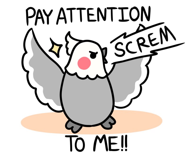 Lavender tweet media