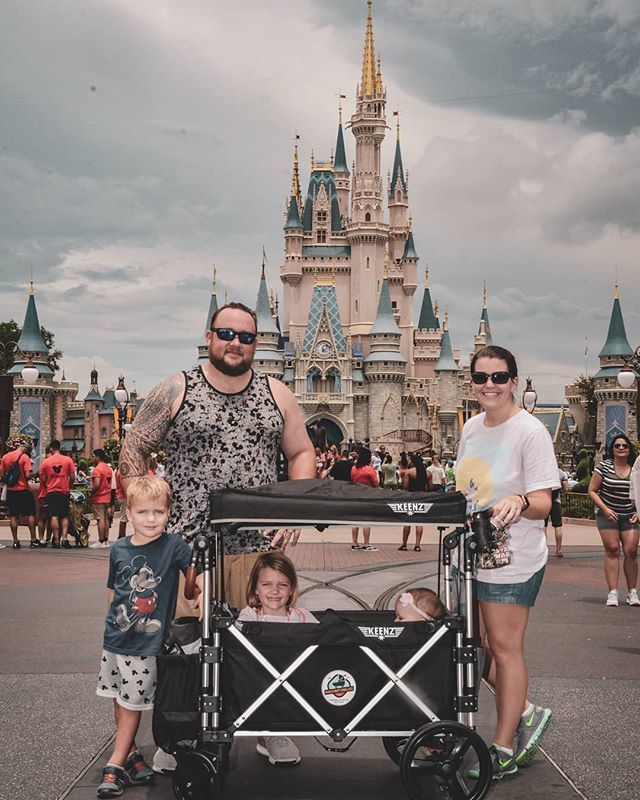 wagons allowed at disney