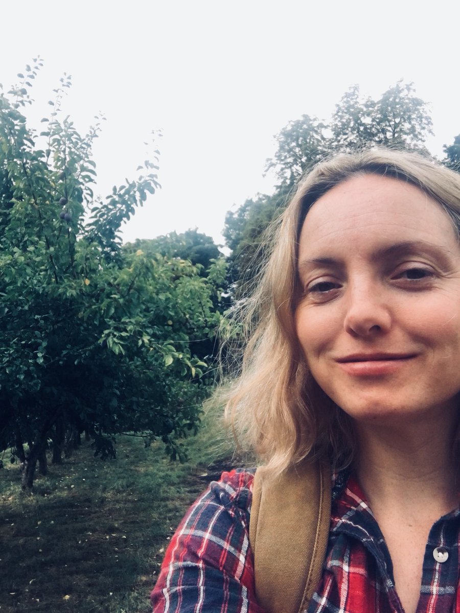 wrightarb's tweet photo. Todayโs office - surveying an orchard. Cheers to being stuck behind a desk ๐ #orchard #deskjob #workinfortheman https://t.co/TvqyD884ue