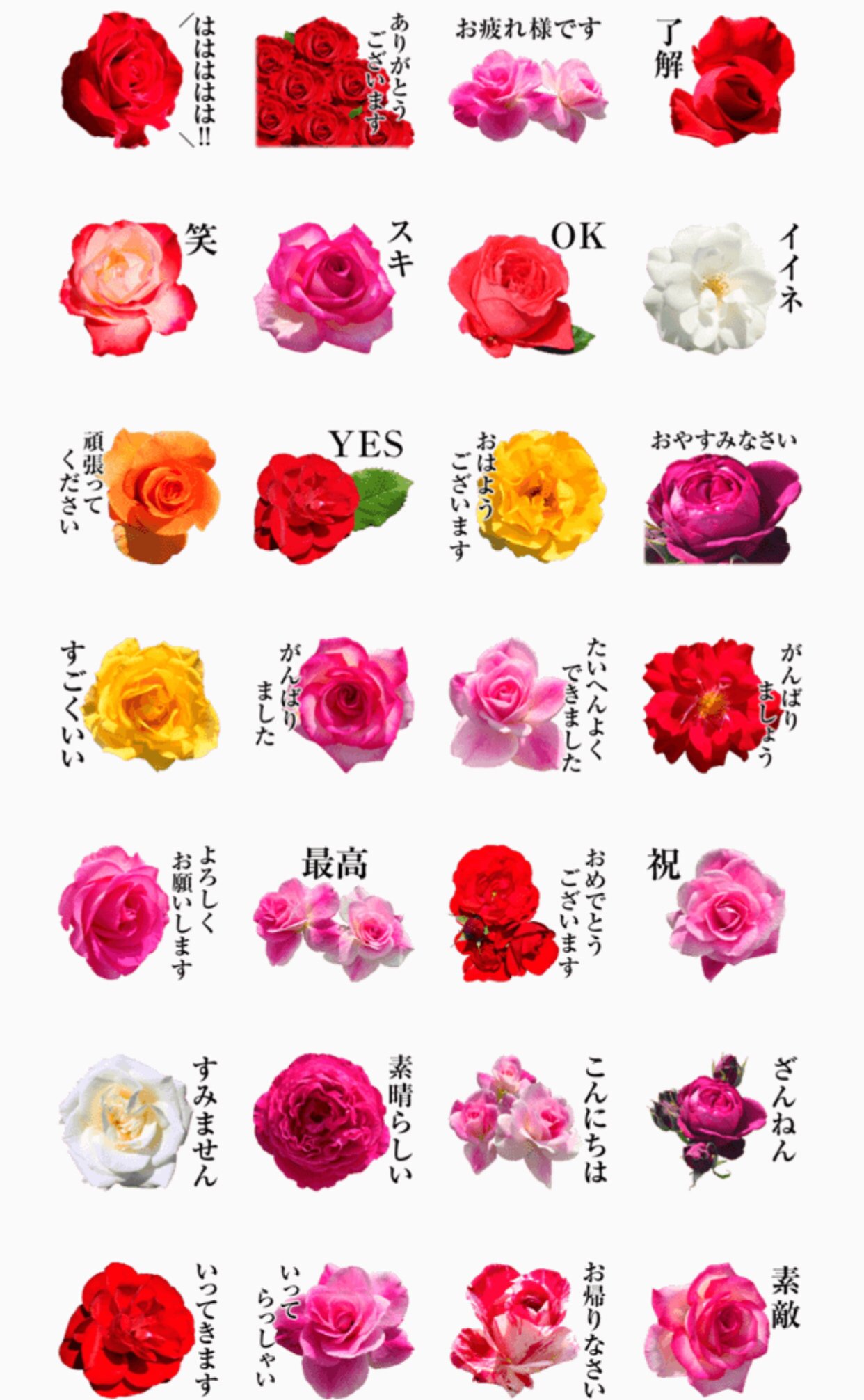 パルピー على تويتر 新作lineスタンプ 実写 薔薇 を販売しました T Co 27lph1lu3s 薔薇の写真 スタンプです バラ好きに送りつけてみたりしてください パルピーの写真シリーズ バラ 薔薇 ばら Rose ローズ Lineスタンプ スタンプ T