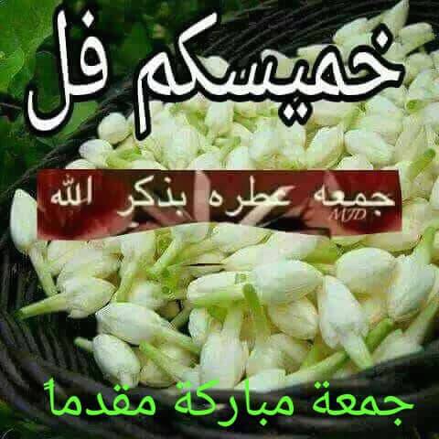 MushaMotahar1's tweet photo. https://t.co/lHstzfZRF2
