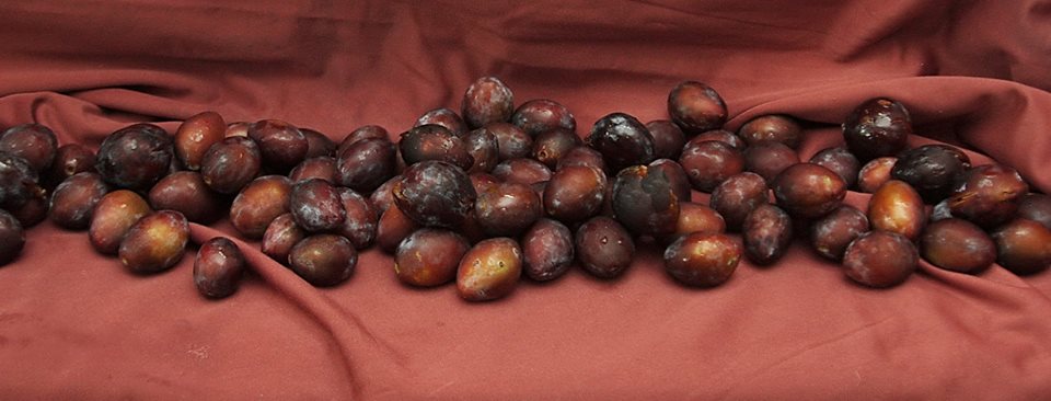 Demcult's tweet image. @uckd2014 Етичні принципи у сфері охорони нематеріальної культурної спадщини
demcult.org/etichni-princi…