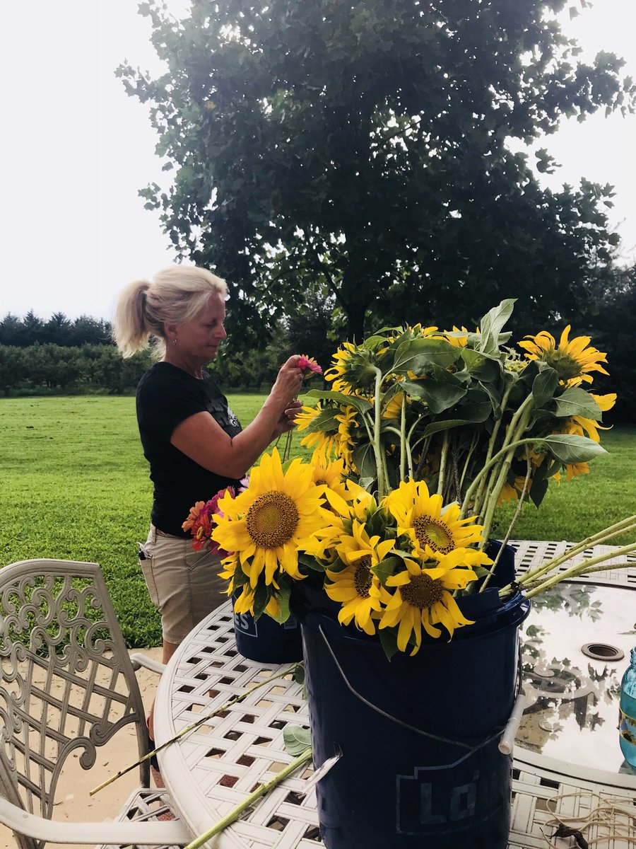 melmadara's tweet image. my mom has struggled with unemployment the past few years, but through all the ups and downs she still sells her flower bouquets every summer! if you’re local please share. her stand is on lambs rd in mullica hill. bouquets are $4 and it makes her so happy when people buy them🌻
