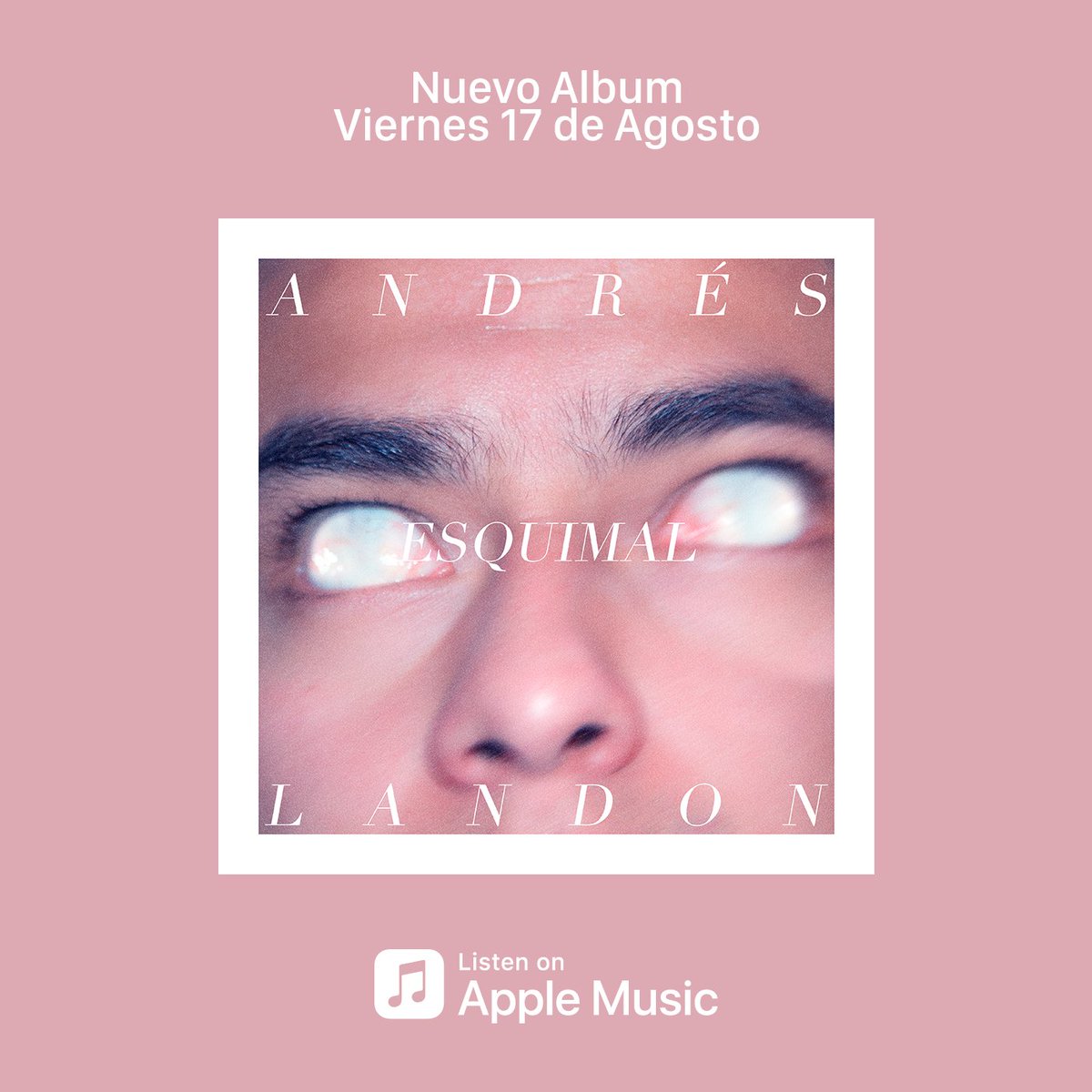 PonkRecords's tweet photo. Lo nuevo de @AndresLandon #ESQUIMAL este viernes 17 de Agosto disponible en @AppleMusicES - Checa su single #PiñaColada  https://t.co/O2xVres5ez https://t.co/dGxiAjOpFJ