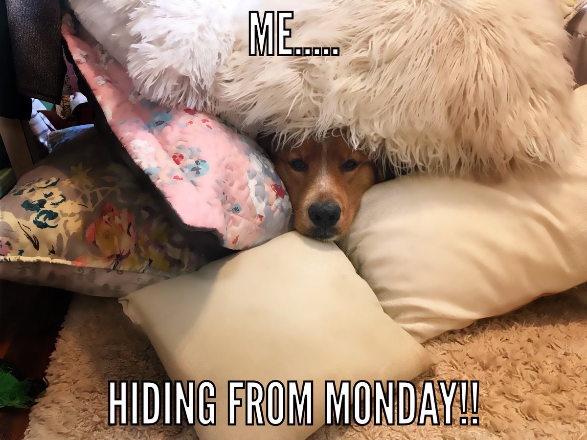 LAcourtneymoore's tweet photo. https://t.co/Y5ZZTaUWCR