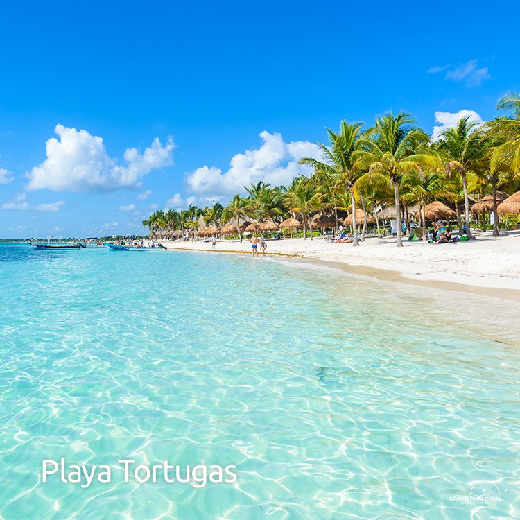GParkRoyalCC's tweet photo. 😎 Aquí te dejamos 5 de las mejores playas en #Cancún  que no te puedes perder en tus próximas vacaciones. 🤗 🌊 ☀️ 🏖️   https://t.co/XCXbnIiF0u https://t.co/pK5pvc465b