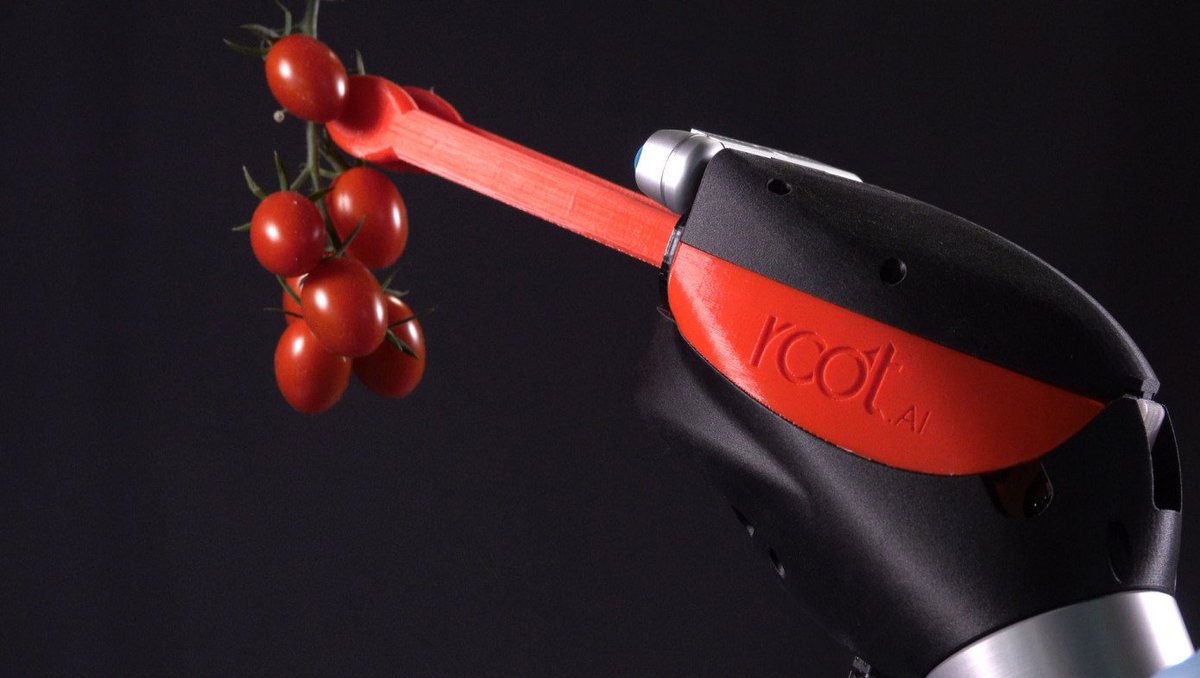 BrandeisGPS's tweet image. Your vegetables are going to be picked by robots sooner than you think @TechCrunch ow.ly/HoOw30lkWmk #Robotics #RootAI