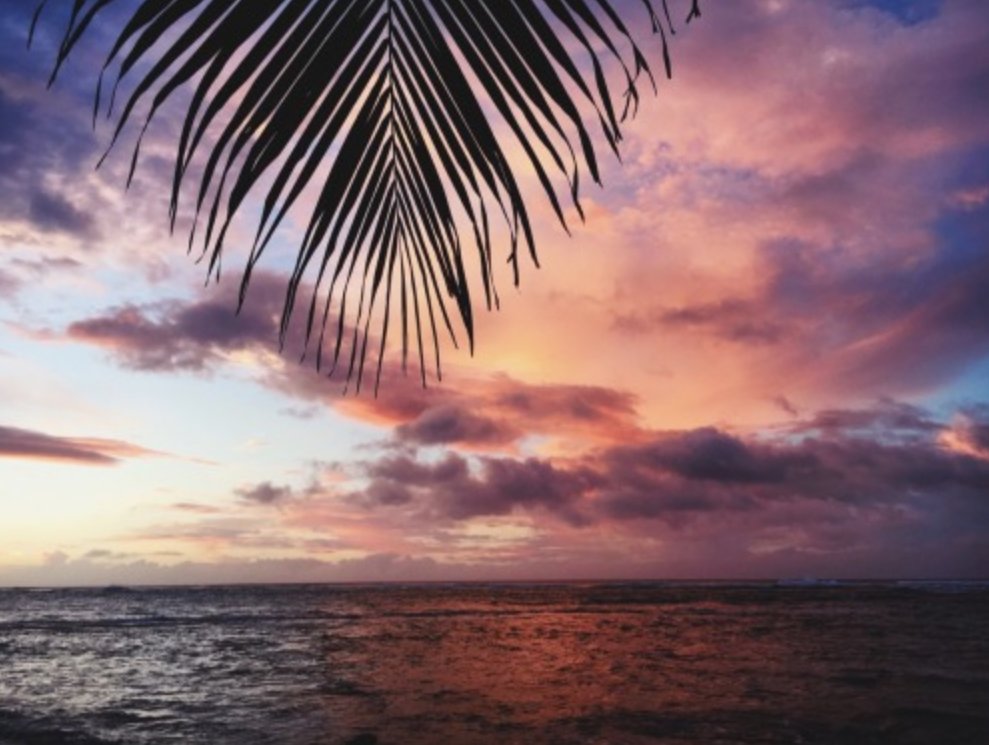 visual_supply's tweet image. Where i need to be