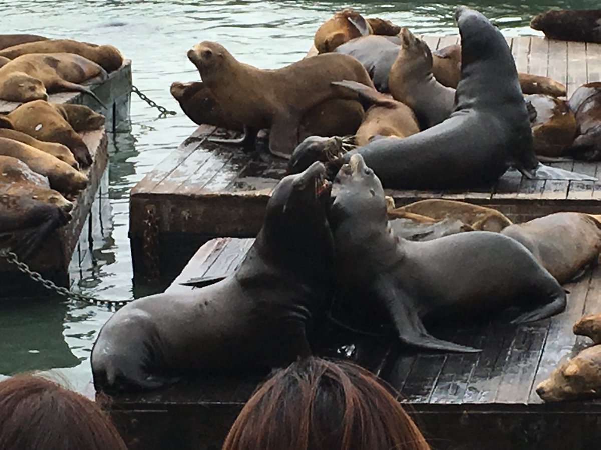 2bjudyb's tweet image. #collaborationFAIL