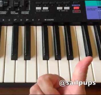 SailPups's tweet image. How do you correctly place your fingers on a keyboard or piano?? Check out this video at bit.ly
#keyboardlesson #pianolesson #class #sailpups