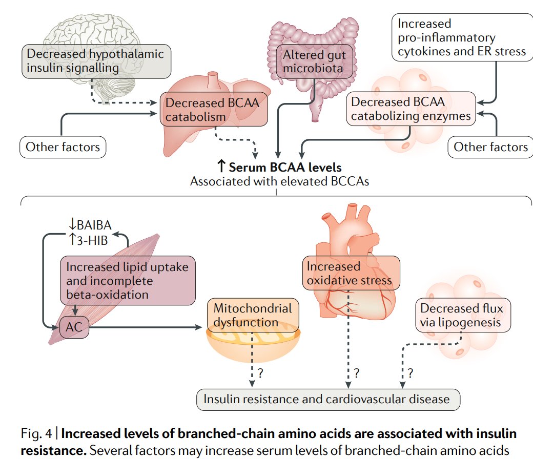 view theoretical aspects of heterogeneous catalysis 2001