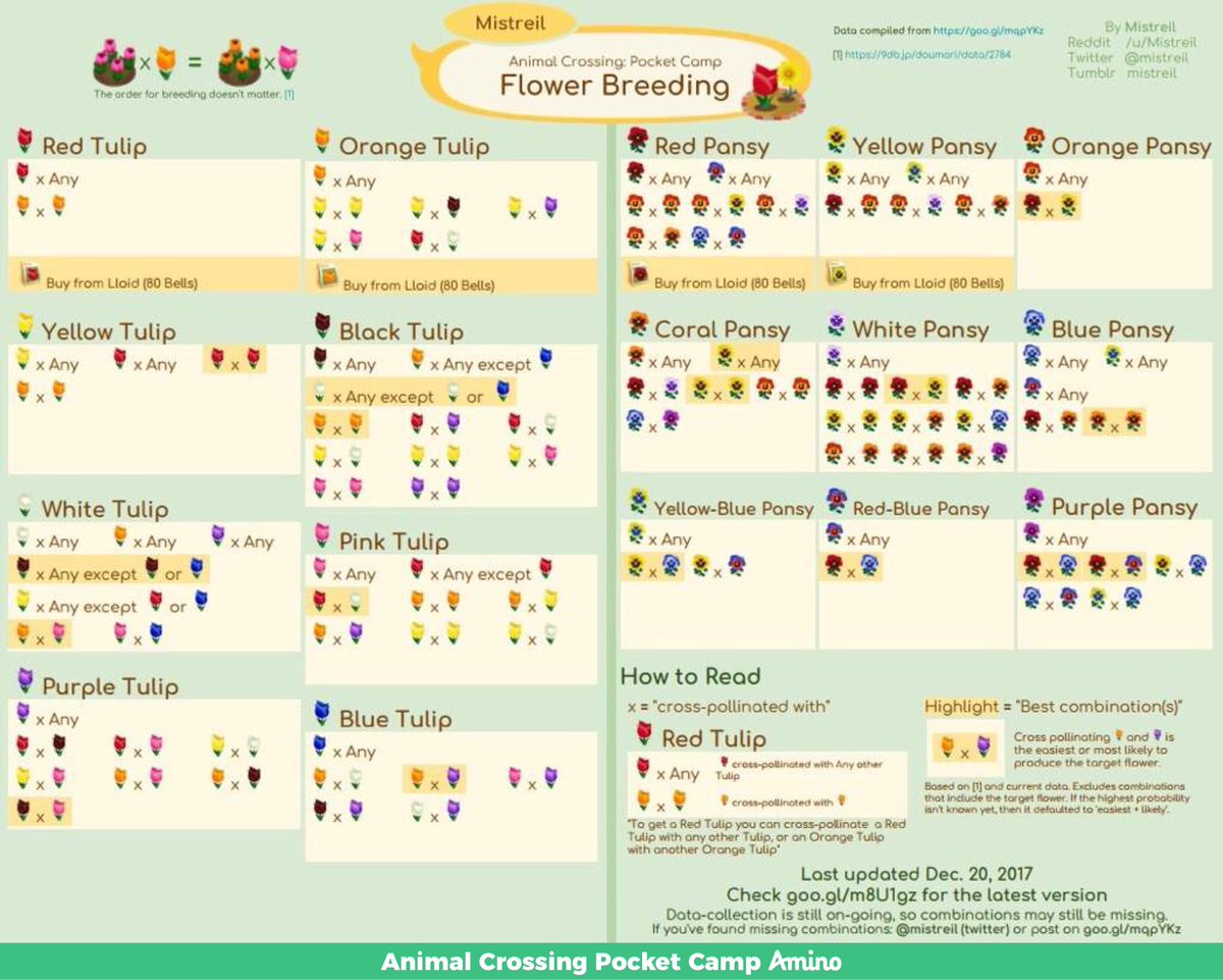 ktcub's tweet photo. https://t.co/2fcMd4S2c6
-Sharing flower breeding chart for any reason you might need it, or need it again(mine got lost in the tweets I was saving)🌸🌻🌹🌺💐 💠Be Happy, Camp On💠 #AnimalCrossingPocketCamp #charts #FlowerBreeding #PocketCampSummer #PocketCamp #Amino https://t.co/GA0PxY4FeP