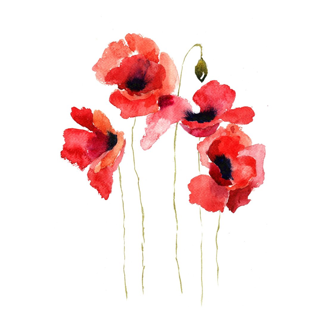 wallartprints's tweet image. A stunning piece from our floral collection, 'Poppies Stripped Bare' is the perfect addition to any living space. Get FREE shipping anywhere in Australia, Canada and the USA.
bit.ly/2Adu3Q9
#wallartprints #art #artprints #prints #floral #flowersofinstagram #poppies #red