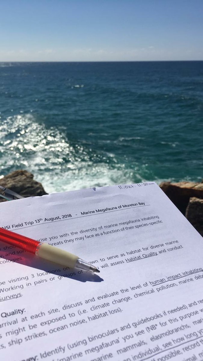 juneeggebo's tweet photo. A full day in the sun watching marine diversity. How lucky are we to have our classroom on the shore of Stradbroke Island? Over a dozen migrating Humpback whales and large pods of playful Bottlenose dolphins was spotted! #ENV2305 @Griffith_Uni #stradbrokeisland #studyoutside https://t.co/5XCuUOcm8J