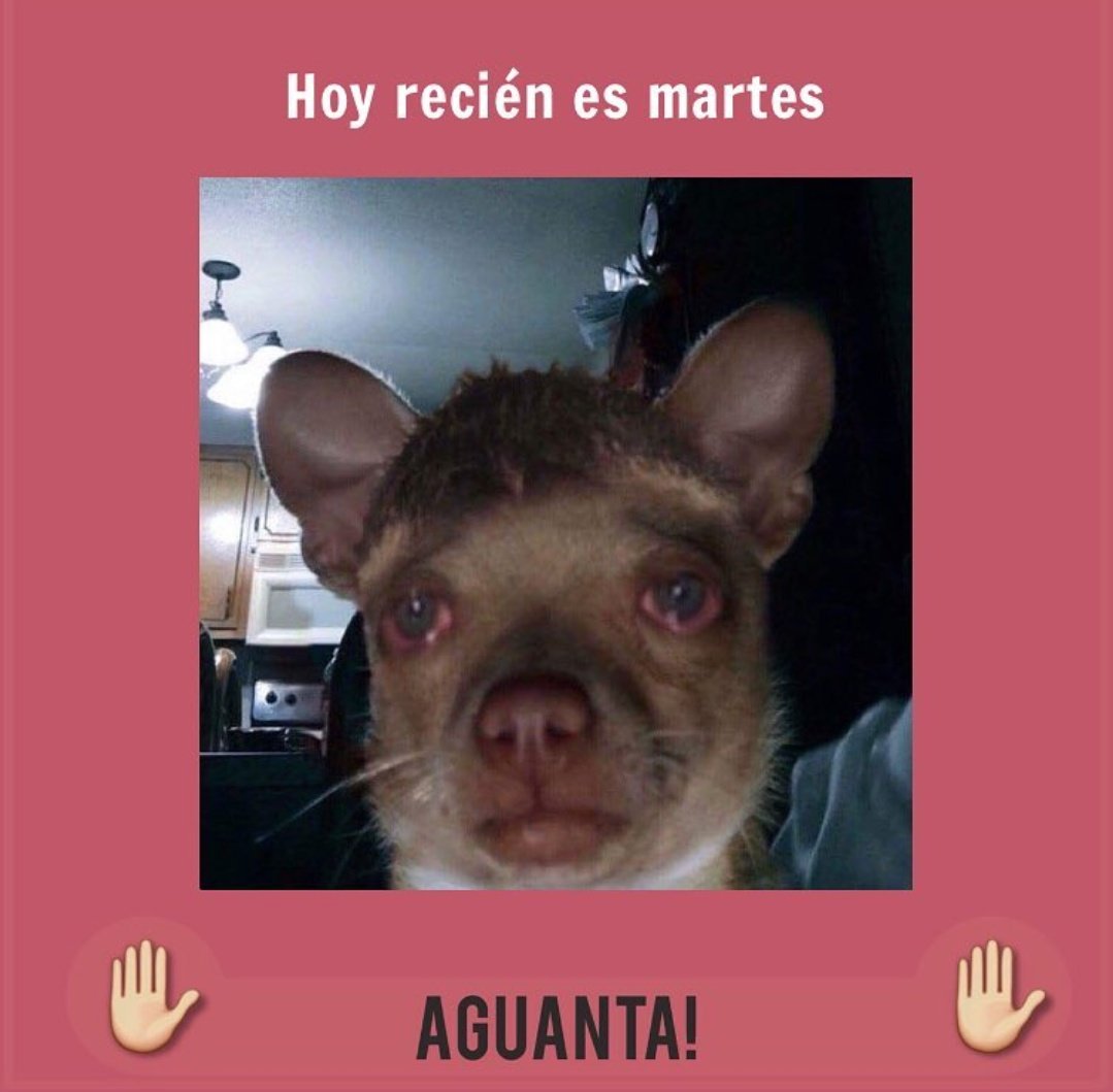 Mañana recien es martes😣