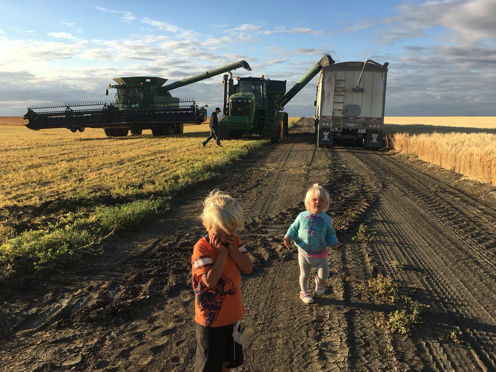 sharp898's tweet image. Not often a dry eye in the car when we have to leave the field at bedtime. #harvest18 #combineride #SharplandFarms #farmlife