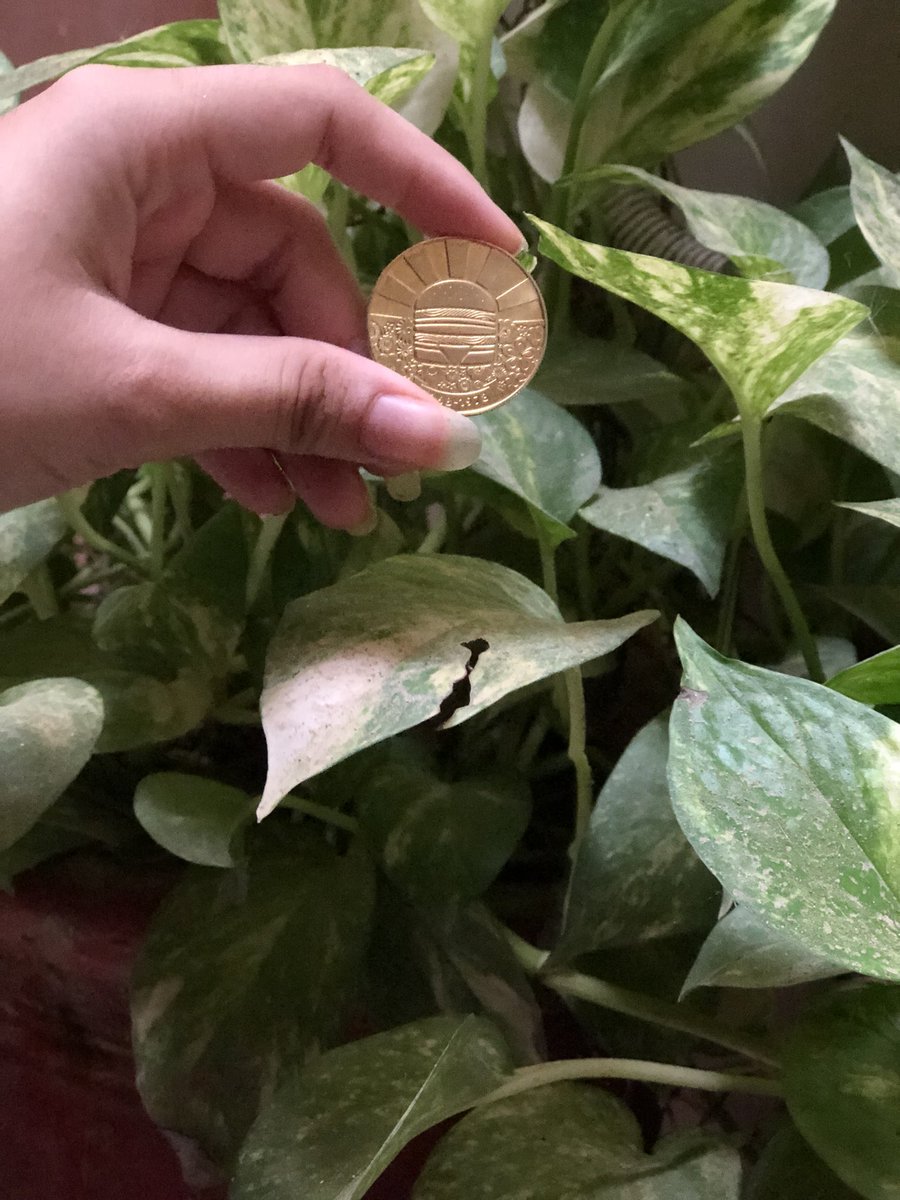 Izzmayy's tweet image. Got this beautiful #MacCoin from @McDonaldsPK  not sure if I will ever trade this for anything else. 😍