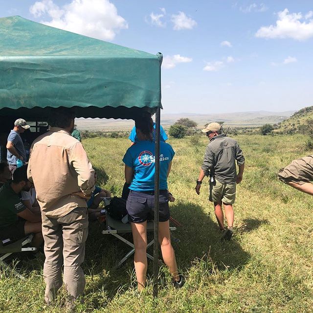 ExileMedics's tweet photo. Exile Medics and the race team setting up the checkpoint! #savannah #kenyasafari #runningforrangers #beyondtheultimate #wildernessmedics #doctor https://t.co/leBsFHIdWG https://t.co/vdMlpnWBVx