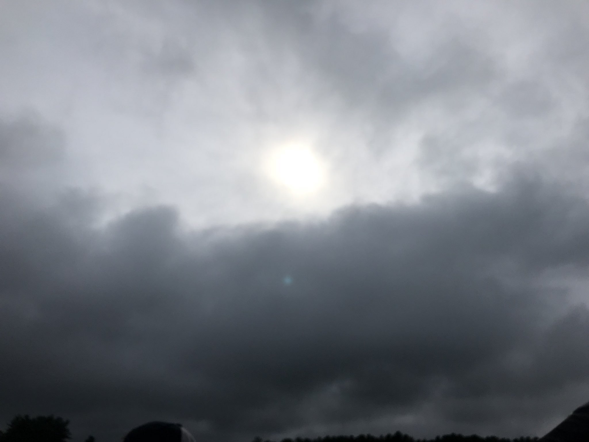 cindy-fitzgibbon-on-twitter-when-the-meteorologist-picks-vacation