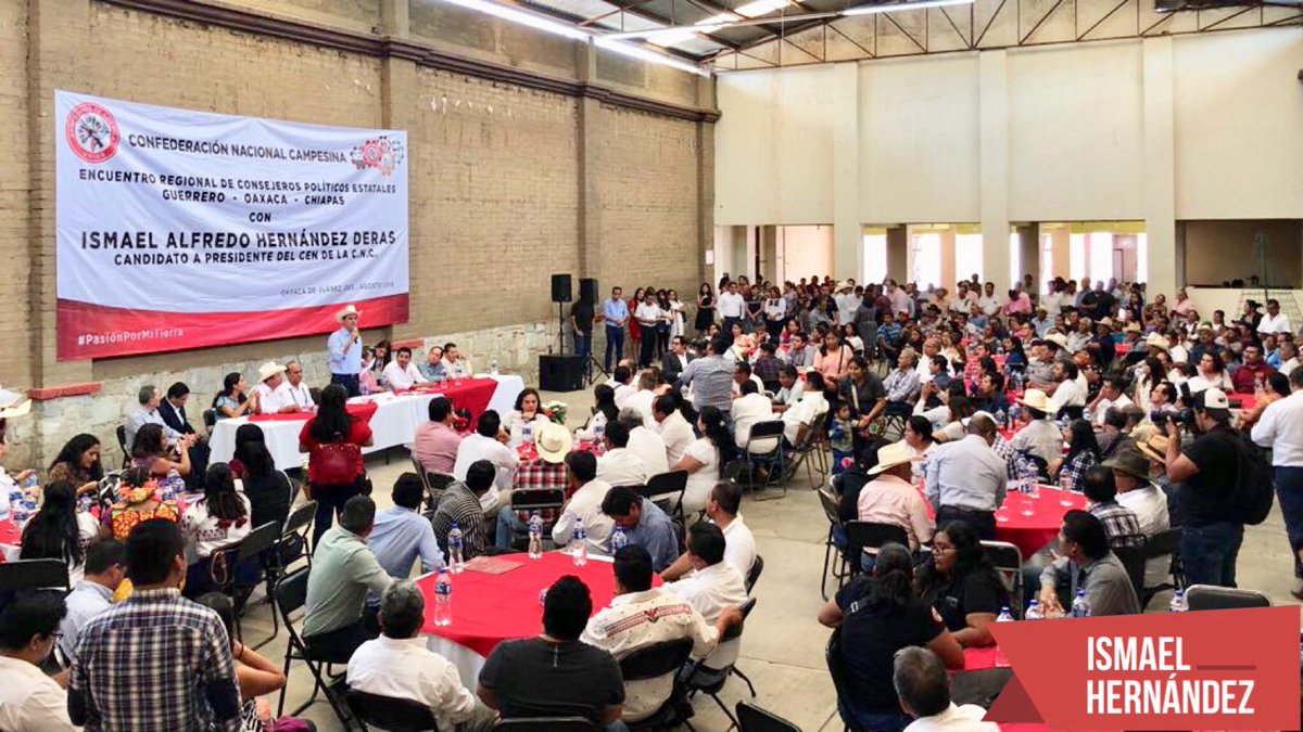 hernandezderas's tweet photo. Reconozco y agradezco el respaldo de mis compañeros cenecistas de #Oaxaca, #Chiapas y #Guerrero, con quienes participé en el Encuentro Regional con Consejeros celebrado en la bella ciudad de Oaxaca. La unidad será el sello de quienes somos herederos de décadas de lucha campesina. https://t.co/UzZRjUtviJ