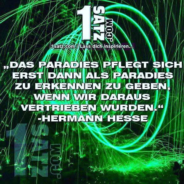 Warum erkennen wir die wunderschönen Dinge oft erst wenn sie wieder aus unserem Leben verschwinden? Besser wir nehmen uns öfter die Zeit, danke zu sagen und tolle Momente und Umstände zu achten. Bist du dankbar und wofür? Schreib es in die Comments. #DAS #PARADIES #PFLEGT #S…