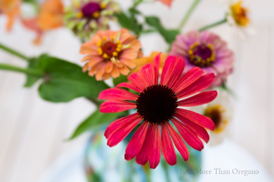 BethBillstrom's tweet photo. It may be hot and humid, but August is still a lovely time to create beautiful backyard bouquets. Here's a simple zinnia bouquet with lots of growing inspiration. https://t.co/DCFtWzeho0 #zinnias #Seedgrown #backyard https://t.co/lAO5yitkUz