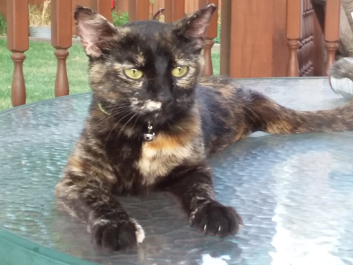 Lucy. Listening to Killer Dwarfs!