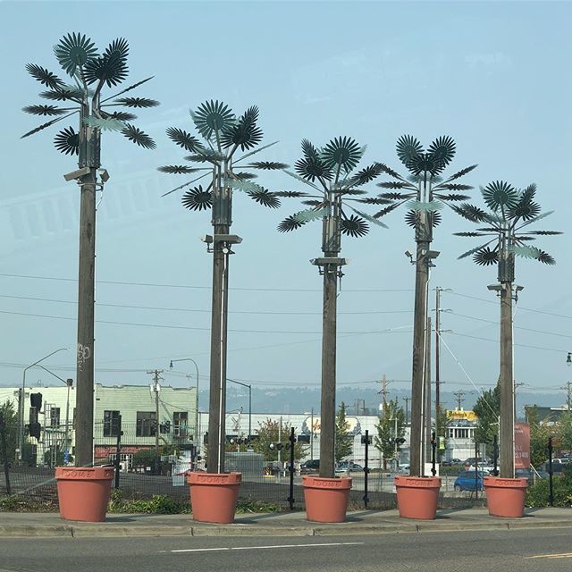 nurlight's tweet image. ift.tt/2B8dgyv