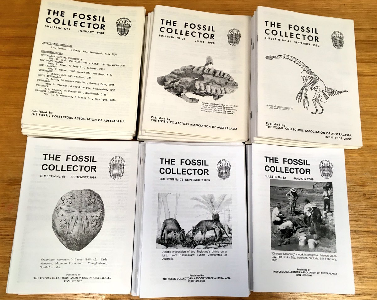 nicolekearney's tweet photo. More treasure on my desk - a new journal for @BioDivLibrary from a new @bhl_au contributor: "The Fossil Collector Bulletin" via The Fossil Collectors' Association of Australasia. #OpenAccess #Incopyright #Fossils #Palaeontology https://t.co/GBqHZiT5qS