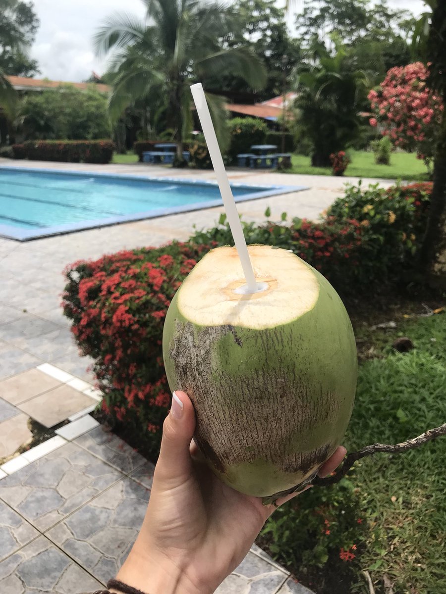 kpsanchezz's tweet photo. Missing beautiful Costa Rica😩😍 #missit #NEEDtogoback #notreadyforschool #sendhelp https://t.co/IXuXShr6os