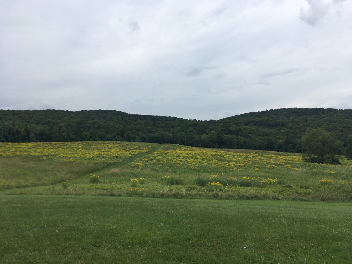 Hylbert's tweet image. #middlebury #robertfrostsummercabin #breadloaf #Vermont