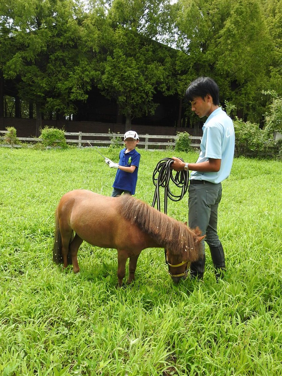 ポニー 栃木