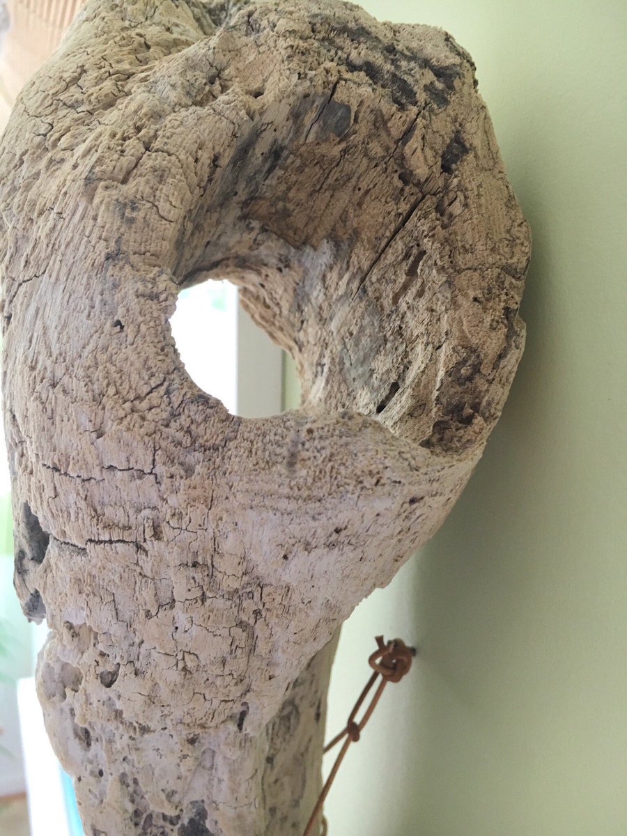 sweep_of_sand's tweet photo. AMAZING piece of hollow Lighted driftwood - sconce or wall art #driftwoodlighting #beachlights https://t.co/ZBTx1dK2bz https://t.co/bxeBZu45ab