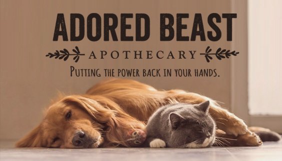 pets_wild's tweet photo. New and exciting products from The Adored Beast - https://t.co/uAXYXXk0a8 https://t.co/tqyCF2ATzi