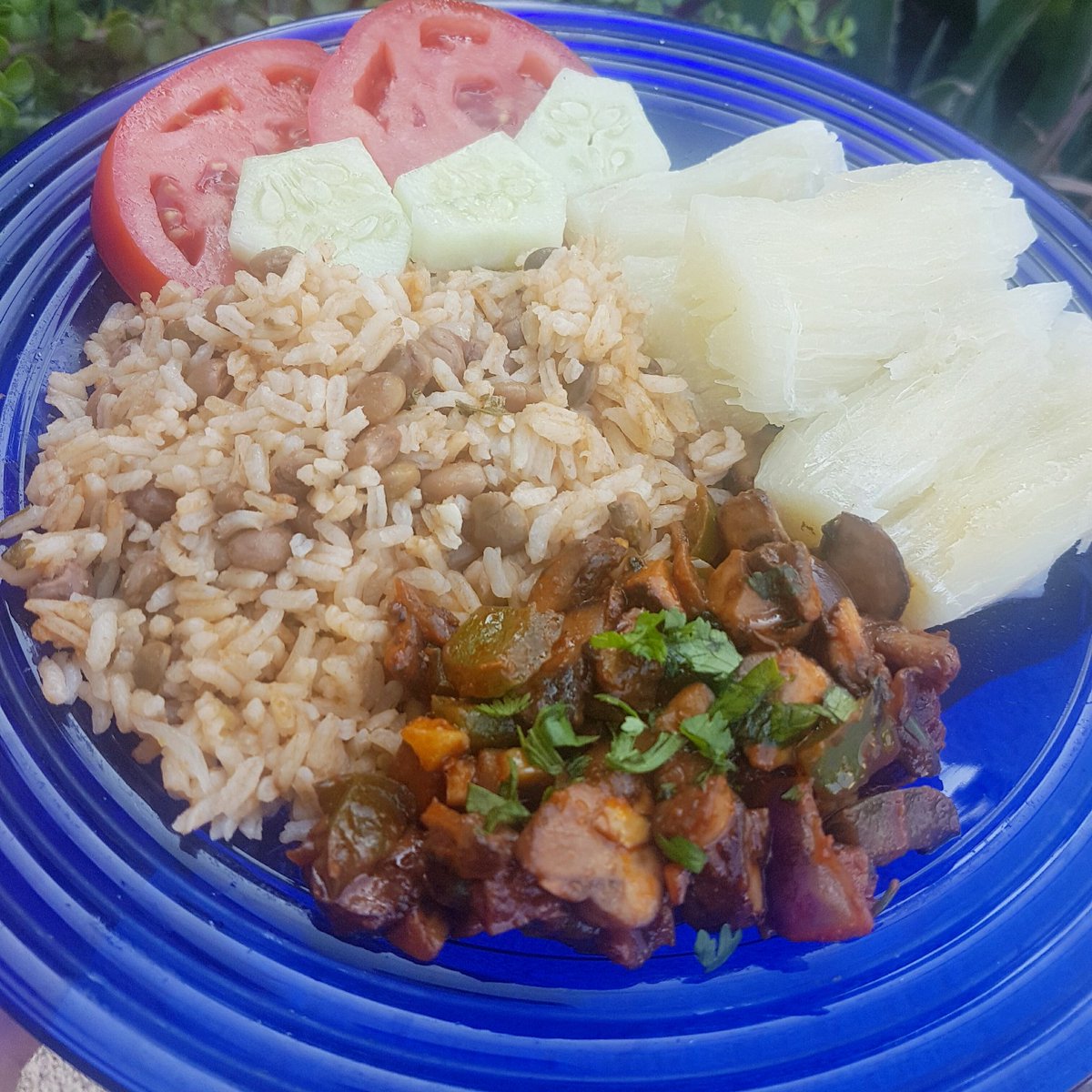 JustJenJen_'s tweet photo. All of the vegan dominican food I've made this weekend. Arroz con gandules de coco, yucca, and pollo guisado sin pollo. Berenjena, tostones, y arroz con gandules, and white rice with Dominican beans 🇩🇴😋 https://t.co/8AnZPZpucn
