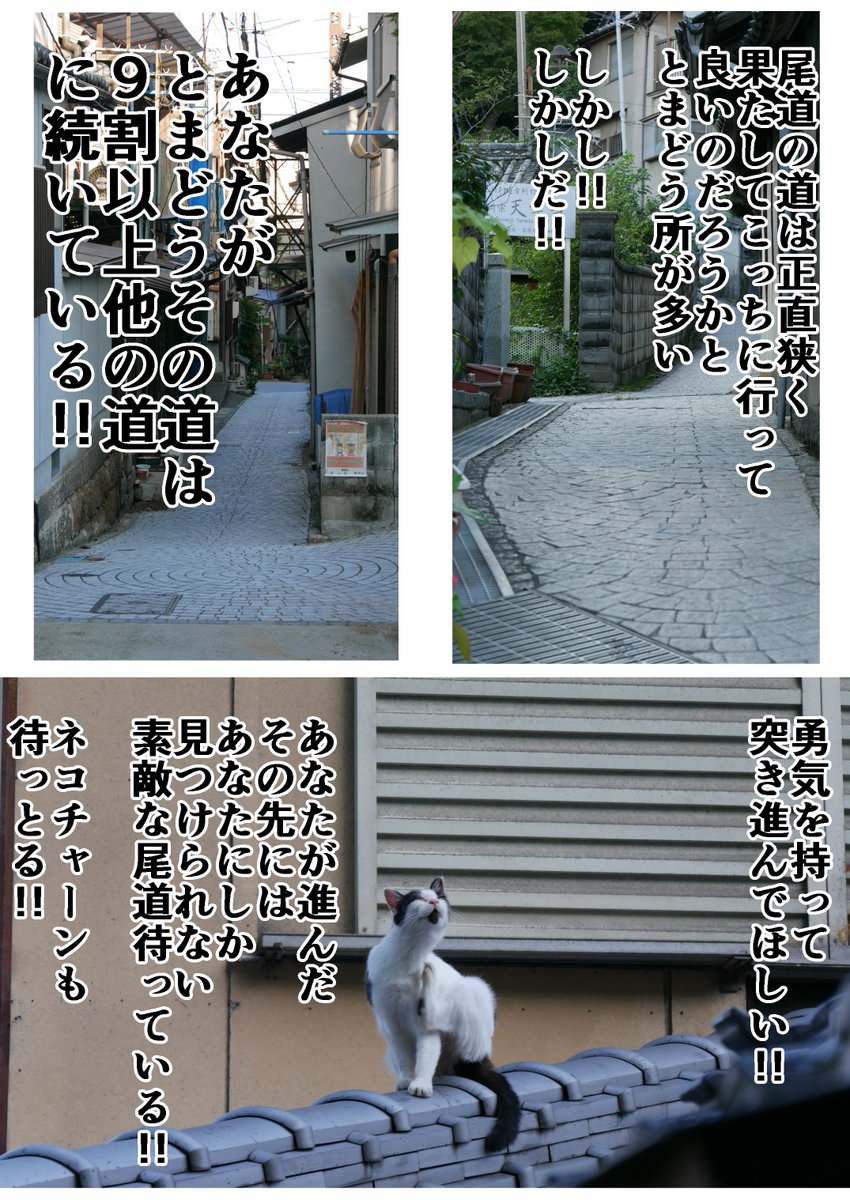 尾道に命を救われたときのはなし その6 #尾道 