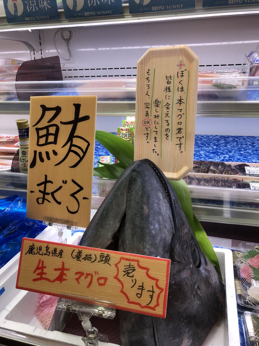 人間に会えるのが楽しみだった彼が なぜ晒し首にされなければならなかったのか マ グロ画像だ 人間は身体だけが目当てだったからね Togetter 人間に会えるのが楽しみだった彼が なぜ晒し首にされなければならなかったのか マ グロ画像だ 人間は身体だけが目当てだったからね Togetter