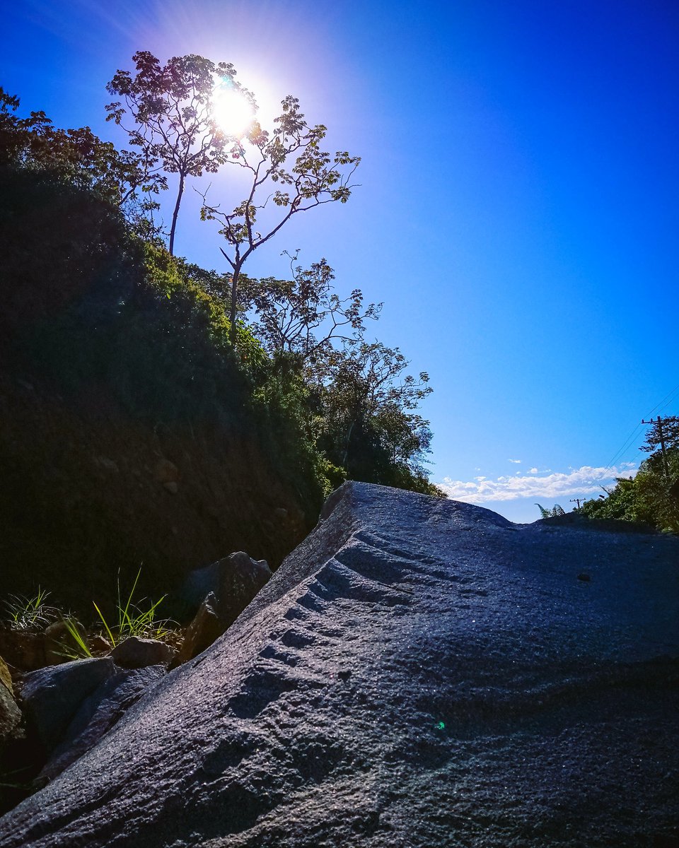 efeve's tweet photo. Planeta tierra...y su estrella/Planet Earth...and its star
@wilcheschaux
@IECAIBERO
#Cali #Pance #sun #sol #arboles #trees #pantalladehojas #leafscreen #silohuettes #siluetas #rocks #rocas #oddland #tierraunica #nature #naturaleza
https://t.co/sSxDbDVU5n https://t.co/ulzr3X2rZh