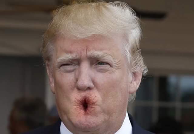 johnbufford's tweet photo. @realDonaldTrump #JOHNMCCAIN #youpos 💩💩💩#IMPEACHTRUMPNOW @GOP @SenateMajLdr @realDonaldTrump @DonaldJTrumpJr @SpeakerRyan @FoxNews @foxandfriends https://t.co/Vn5REYjvse