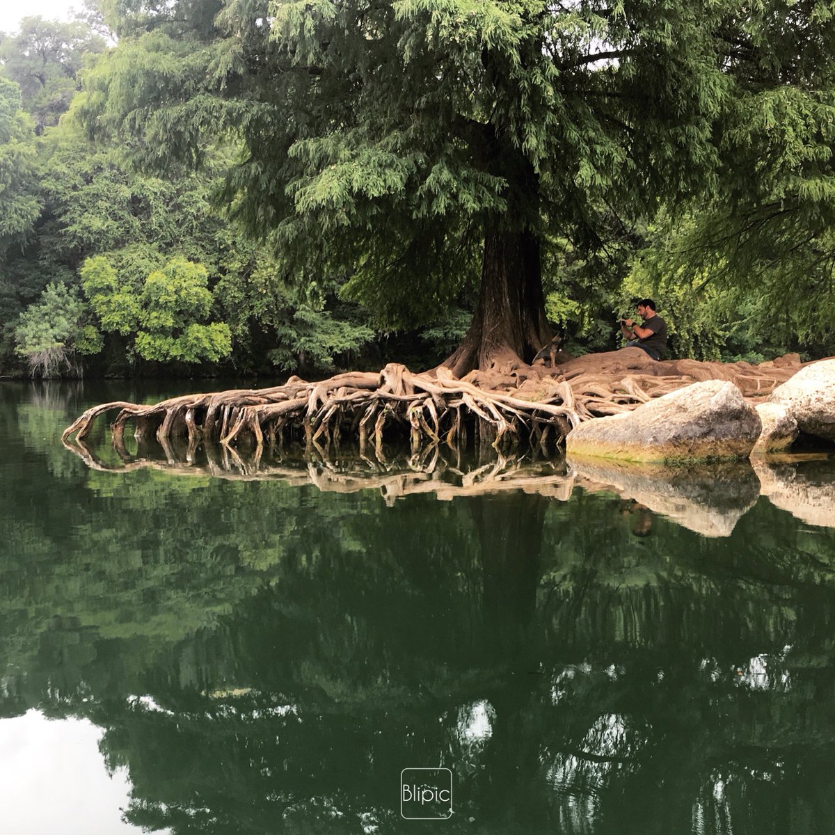 blipic_well's tweet photo. Feeling love for #nature's symmetry!  Exploring Red Bud. #Blipic #AdventureInspired #Wellness #alwaysoutside #healthyaustin https://t.co/4fVNdAZVrR