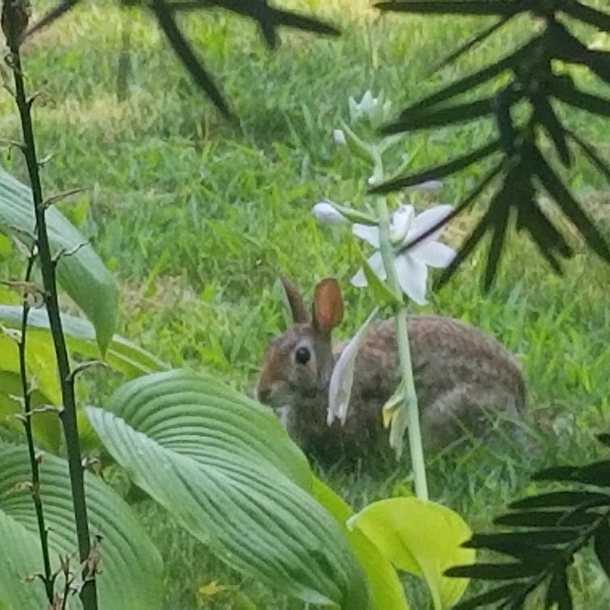 ashley_ashbee's tweet photo. Some recent shots I took where I live. Gotta love nature!
#ourhomestc #walkstc #stcatharines #NaturePhotography https://t.co/t1abqhEKxS