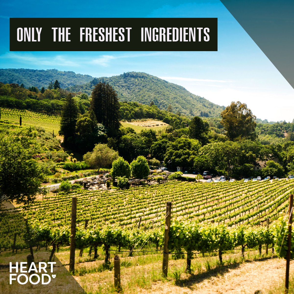 HeartFoodAus's tweet photo. From the farm to you!
#heartfoodaus  https://t.co/KD1GusWZOi https://t.co/LQ4QpNJwND