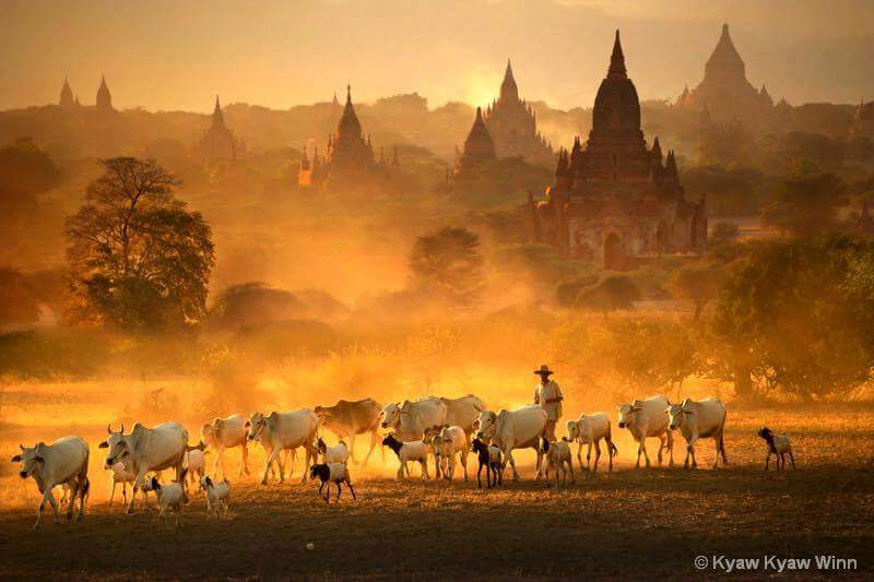 မဂၤလာနံနက္ခင္းပါဗ်ာ...