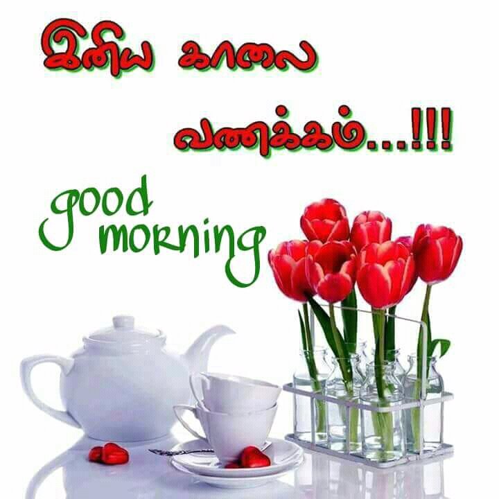 VVesar tweet picture