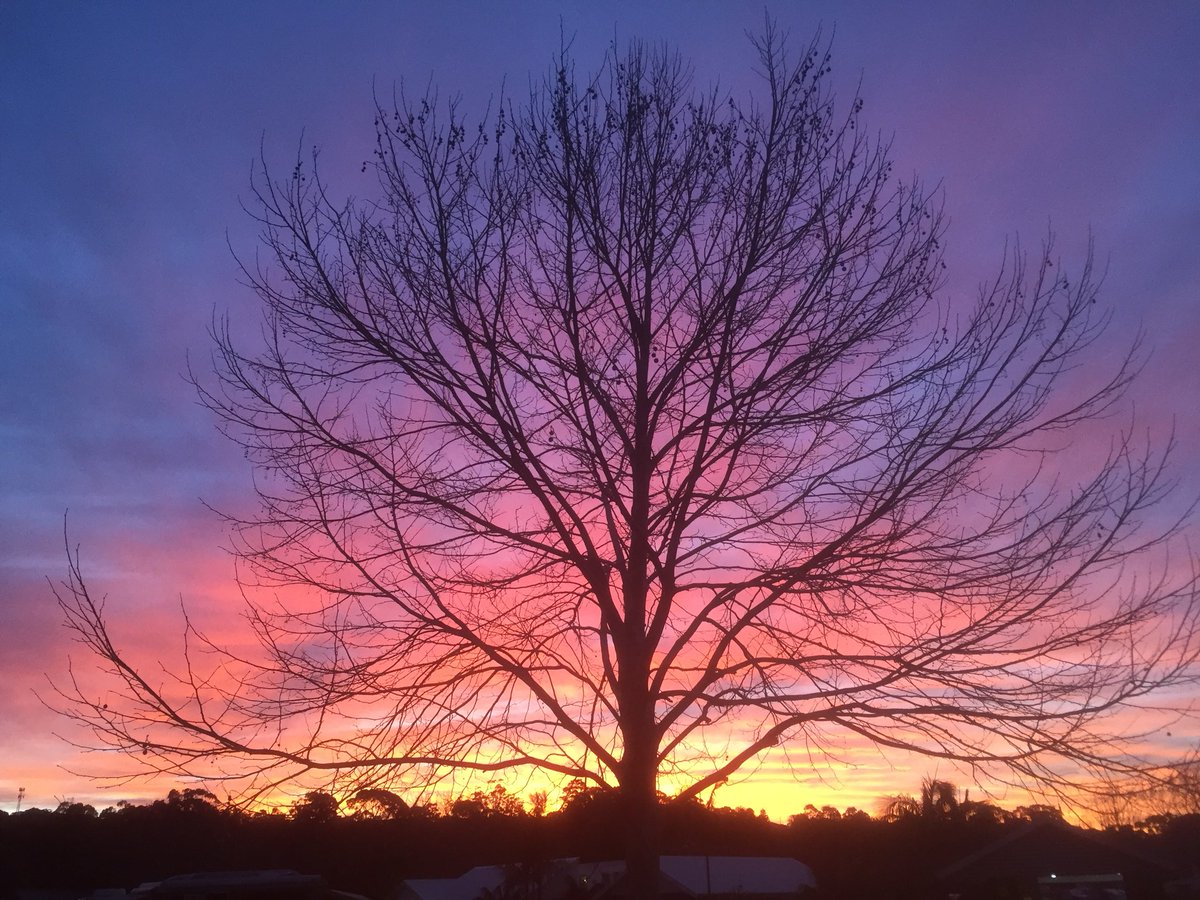 simonmooore's tweet photo. Same tree, different perspective. Do you need to change your perspective in any area of your life?
#changeisgood #lifeisnow #thisismoo #thisisme #simonmoo #findingyou #startsomething #timeisnow #motivation #changethecourseofyourlife #moo #12weeks #purpose #whatif https://t.co/b411LQj1lX