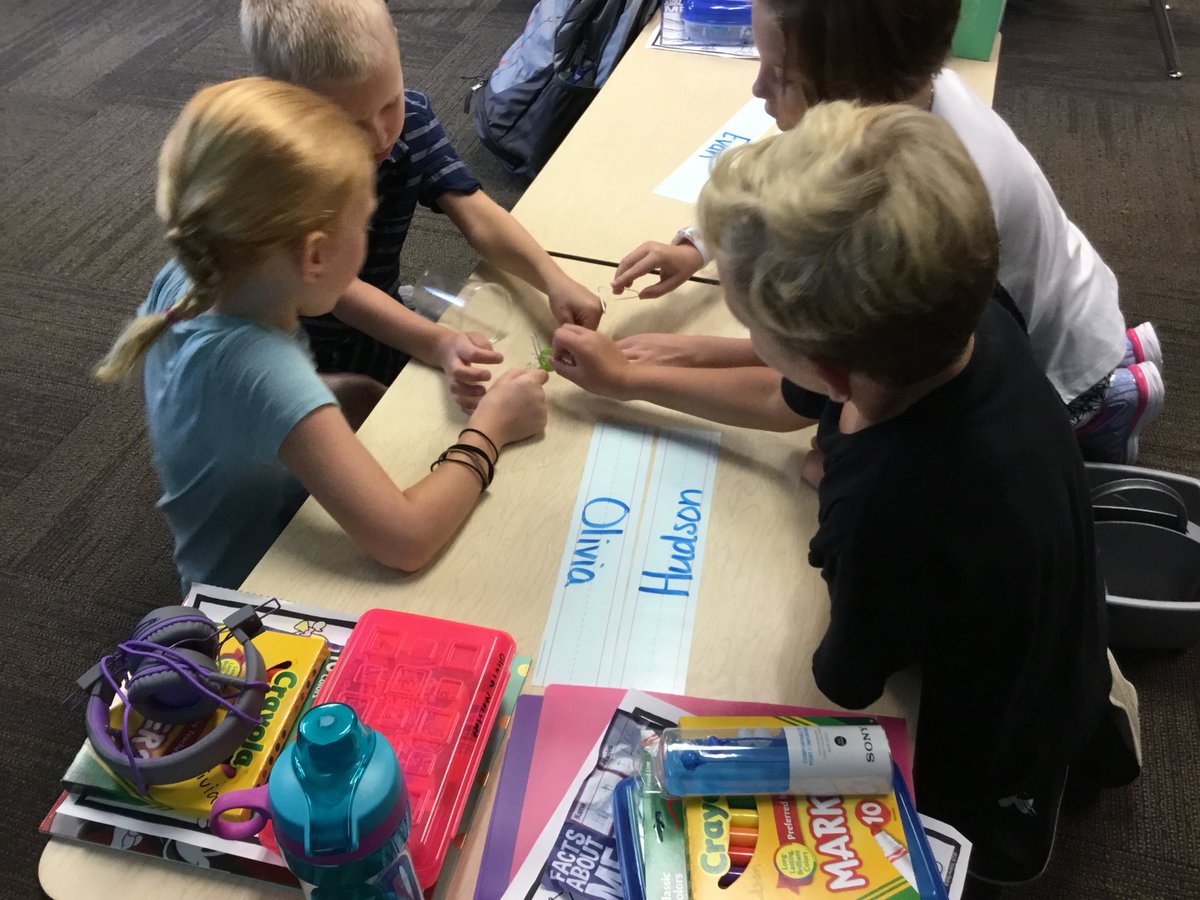 Nely225's tweet photo. Ss working together to solve a problem. #savesam https://t.co/np83o1tbkK
